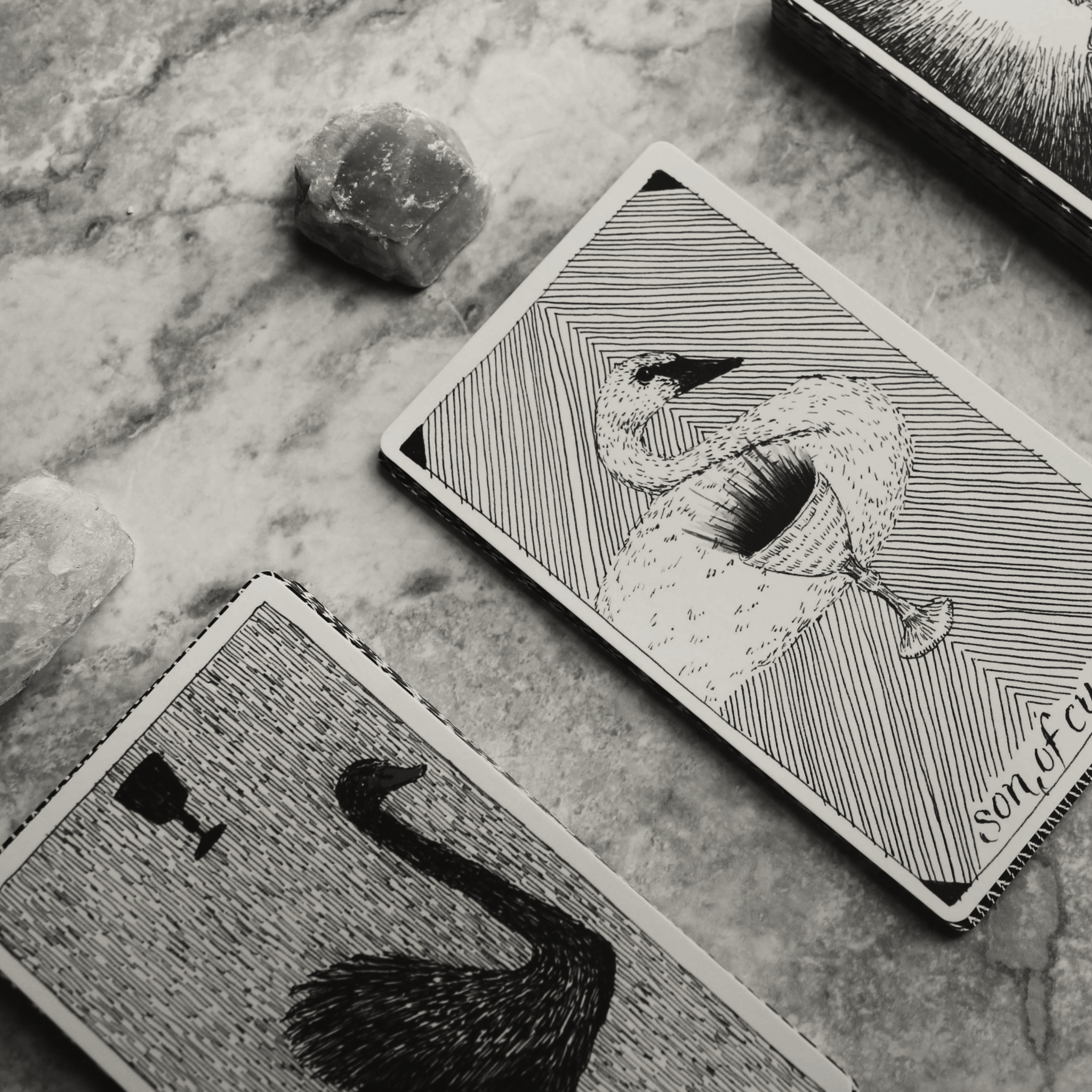 The Real Tea Tarot Spread