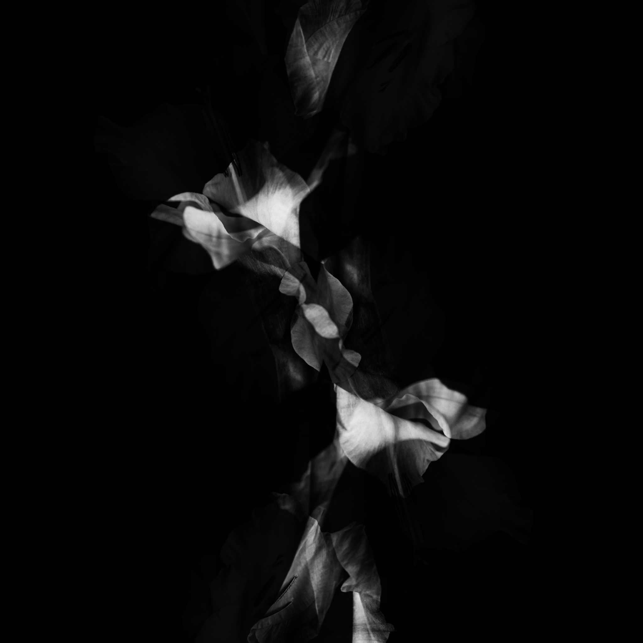 Single Soul Retrieval Session